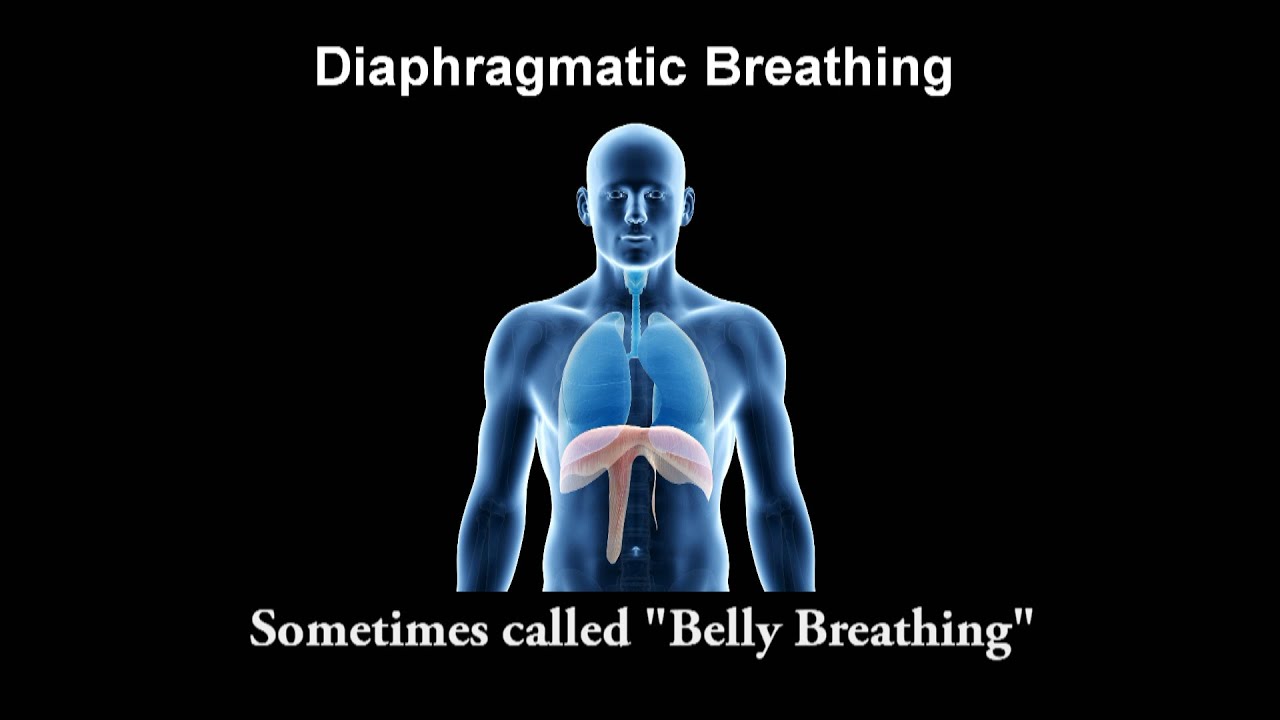 breathing mechanism, diaphragmatic breathing