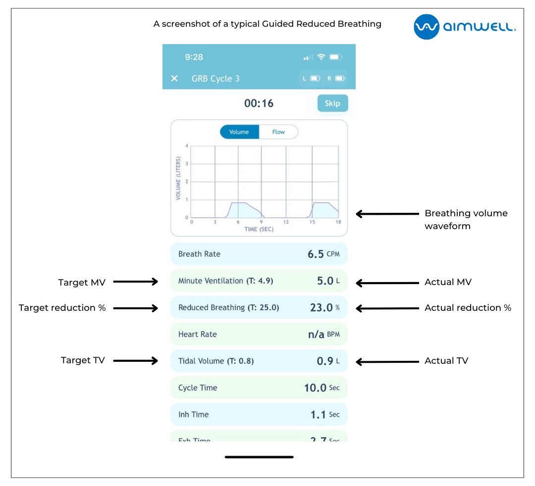 A screenshot of a typical Guided Reduced Breathing